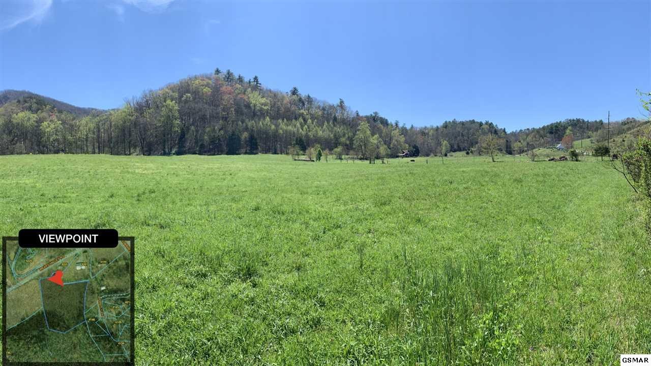 3228 Uncle Harvey Road Sevierville, TN 37862 - Photo 5 of 18 a view of a back yard