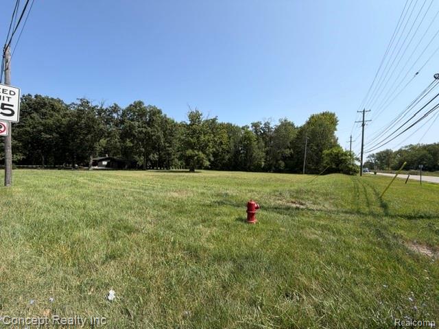 0 Inkster Road Inkster, MI 48141 - Photo 2 of 3 IMG_3236.JPG
