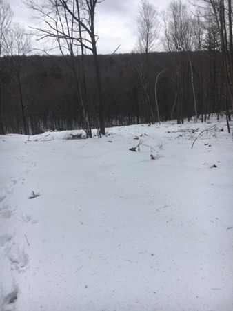 0 Hollow Road Brimfield, MA 01010 - Photo 1 of 5