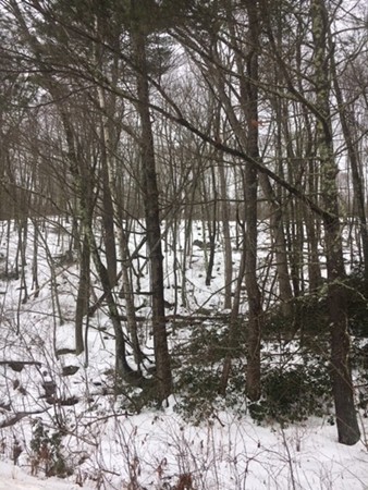 0 Hollow Road Brimfield, MA 01010 - Photo 2 of 5