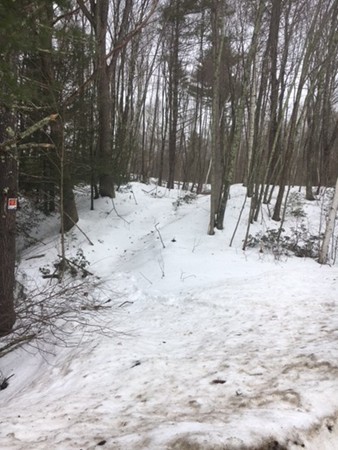 0 Hollow Road Brimfield, MA 01010 - Photo 3 of 5