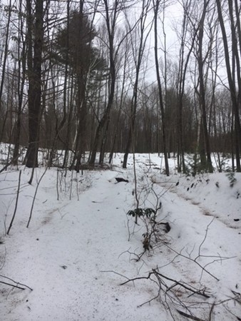 0 Hollow Road Brimfield, MA 01010 - Photo 4 of 5