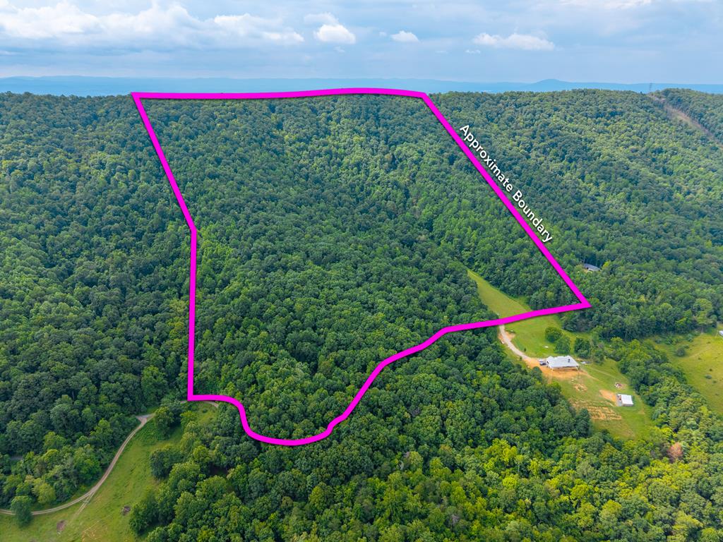 Lot G Springdale Road, Unit G Pearisburg, VA 24134 - Photo 39 of 62 Gallery Image 39