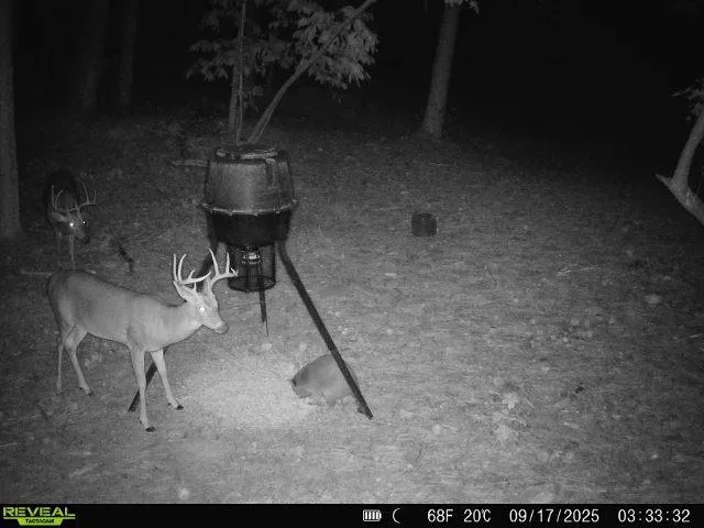 $80,000 | 2310 East Hermitage Road, Kingston, GA 30145