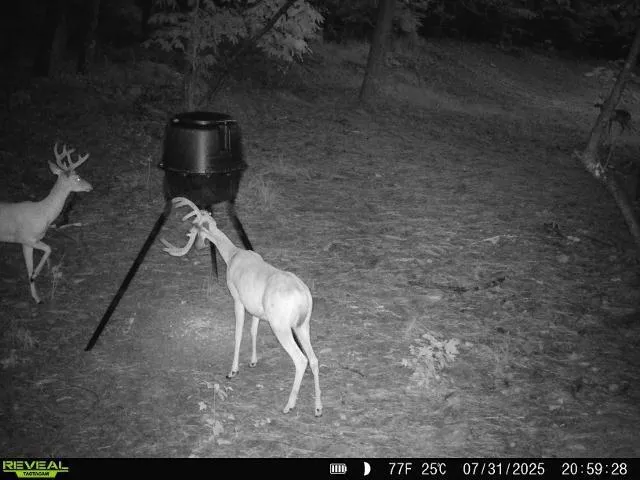 $80,000 | 2310 East Hermitage Road, Kingston, GA 30145