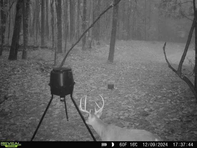 $80,000 | 2310 East Hermitage Road, Kingston, GA 30145