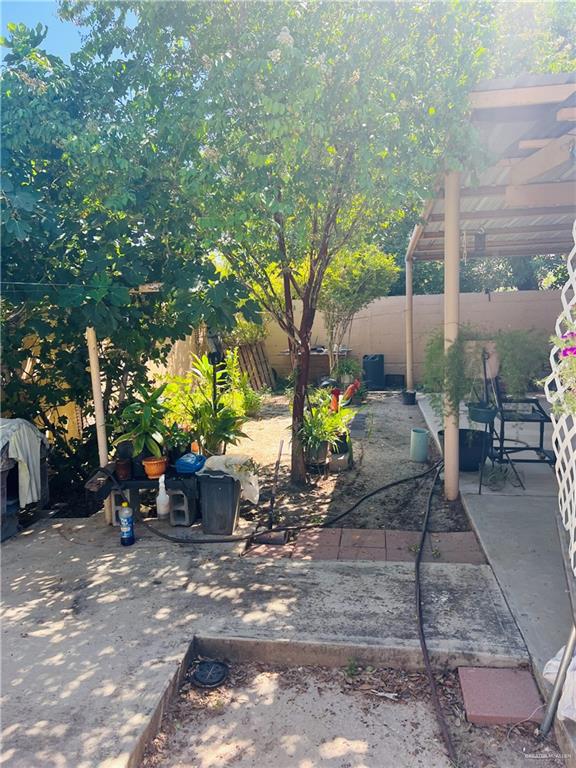 2349 Elaine Street Roma, TX 78584 - Photo 15 of 16 a view of a garden with potted plants