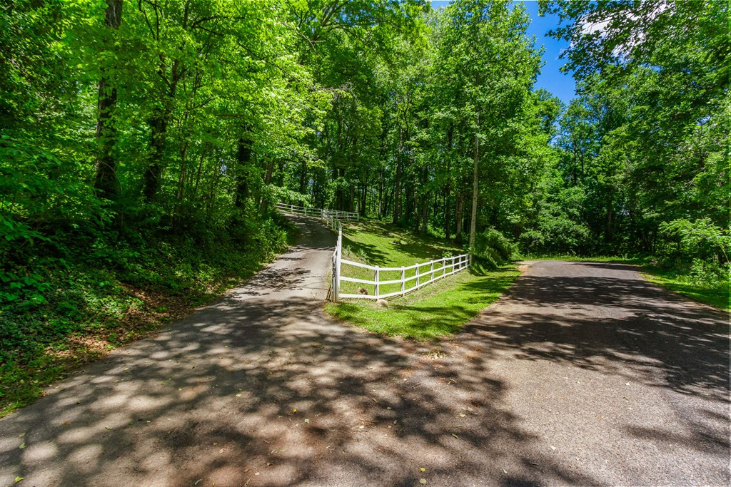 485 Heaton Road Marble, NC 28905 - Photo 49 of 52
