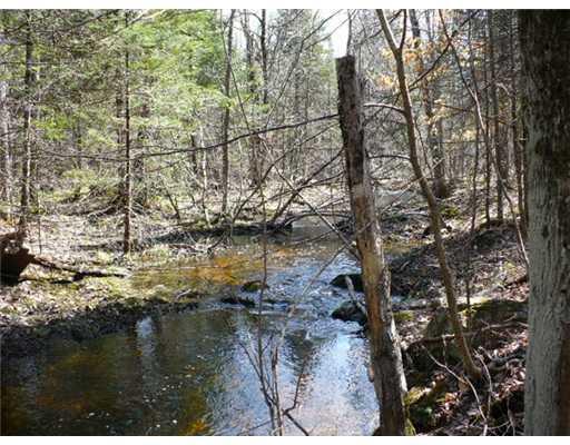 76 Coboro Road Stetson, ME 04488 - Photo 4 of 13 Land.