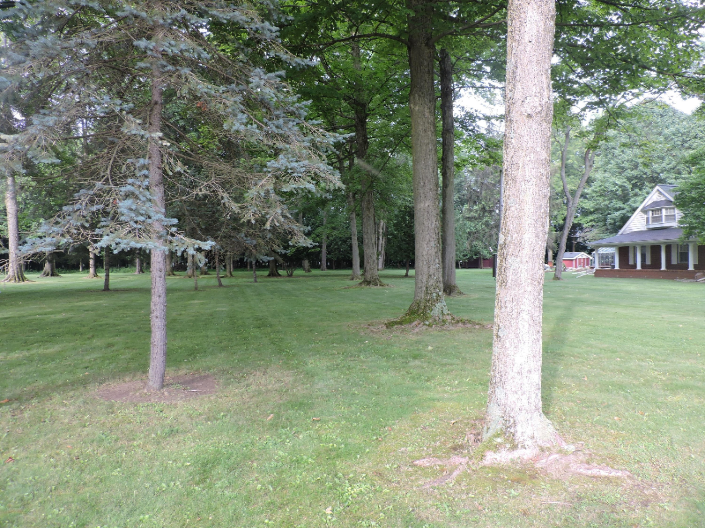 31799 Colon Road Colon, MI 49040 - Photo 5 of 44 Yard