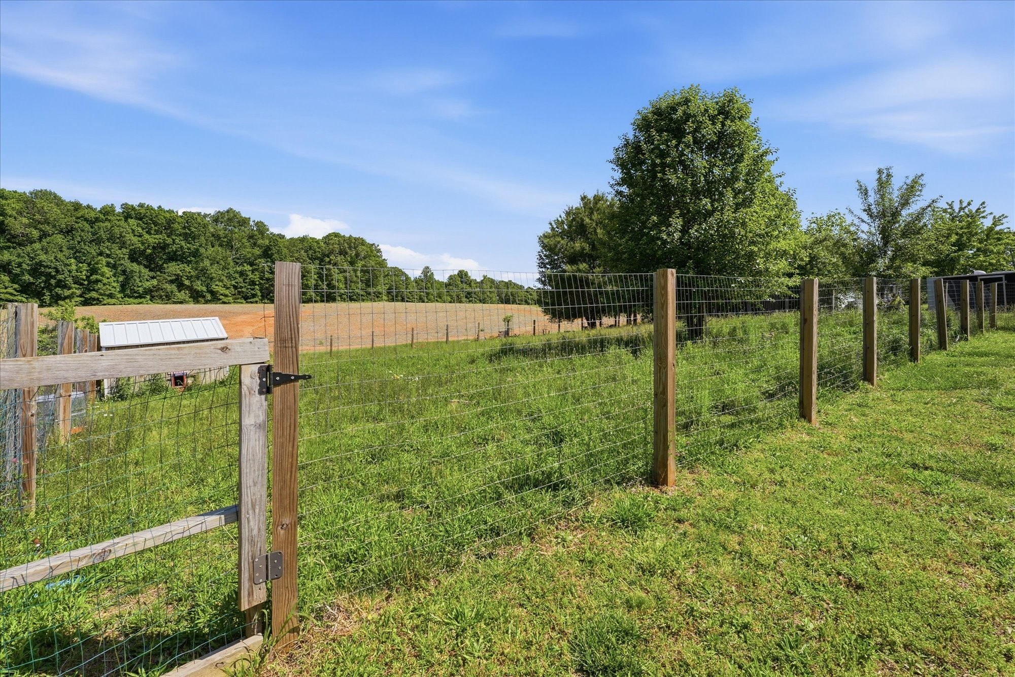 1510 Rapids Road Portland, TN 37148 - Photo 44 of 57 a backyard of a house with lots of green space and fountain