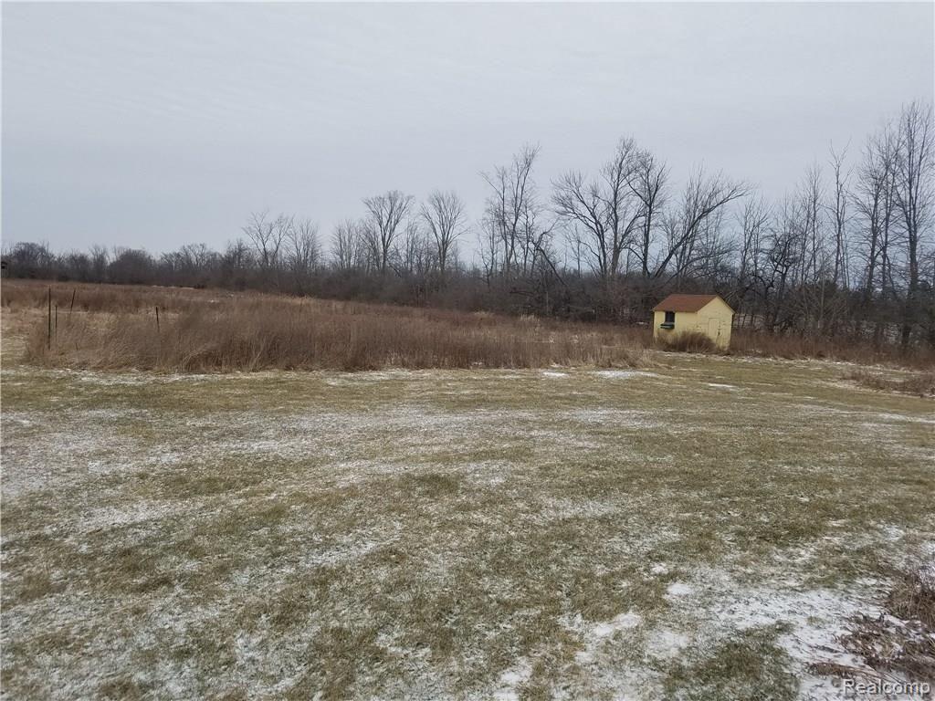 9028 Green Road Goodells, MI 48027 - Photo 19 of 20 yardii.jpg