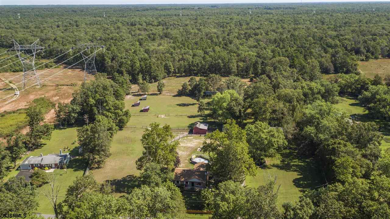 2183 Broadlane Road Williamstown, NJ 08094 - Photo 25 of 25 View of 12 Acre Grounds (5 ac of wooded land)