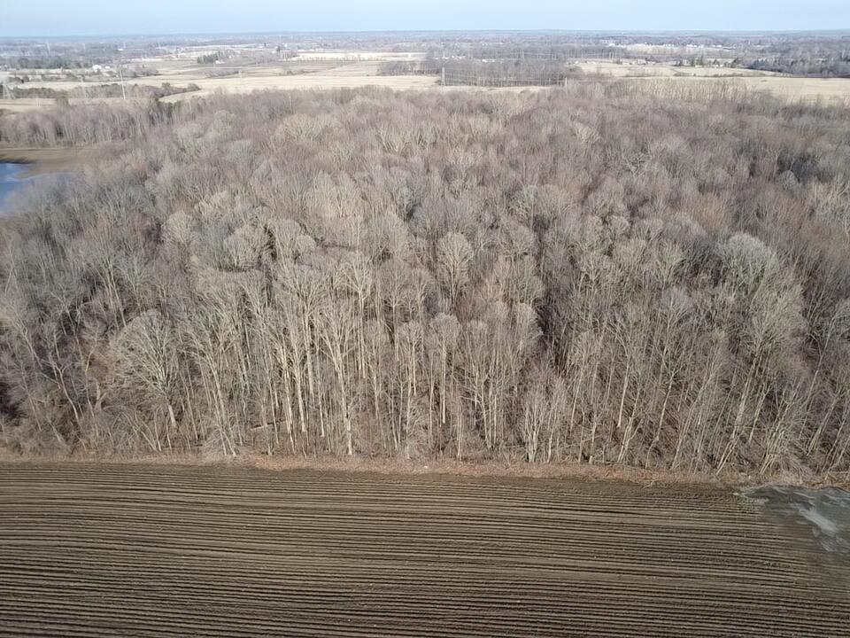 East Dodge Road Clio, MI 48420 - Photo 4 of 39 4