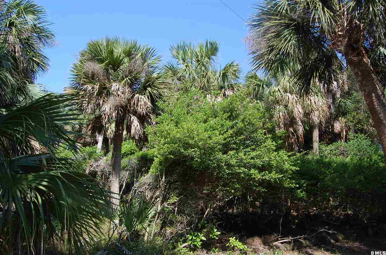 704 Flying Fish Road Fripp Island, SC 29920 - Photo 2 of 17 Additional Photo