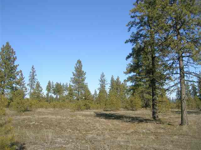 12925 South Short Road Spokane, WA 99224 - Photo 1 of 4