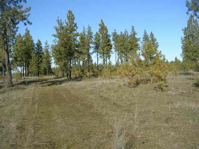 12925 South Short Road Spokane, WA 99224 - Photo 2 of 4