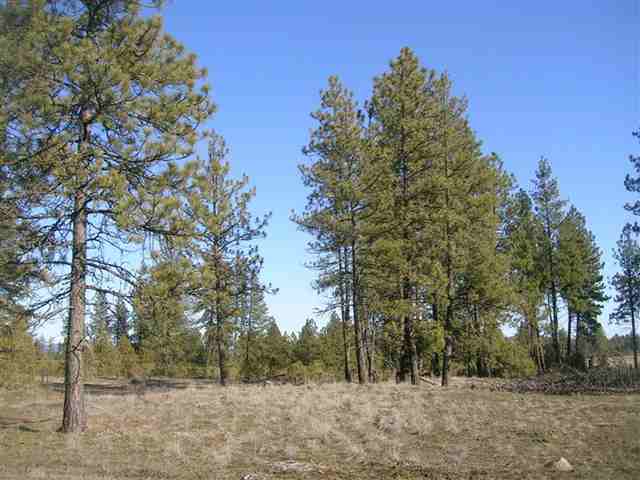 12925 South Short Road Spokane, WA 99224 - Photo 3 of 4