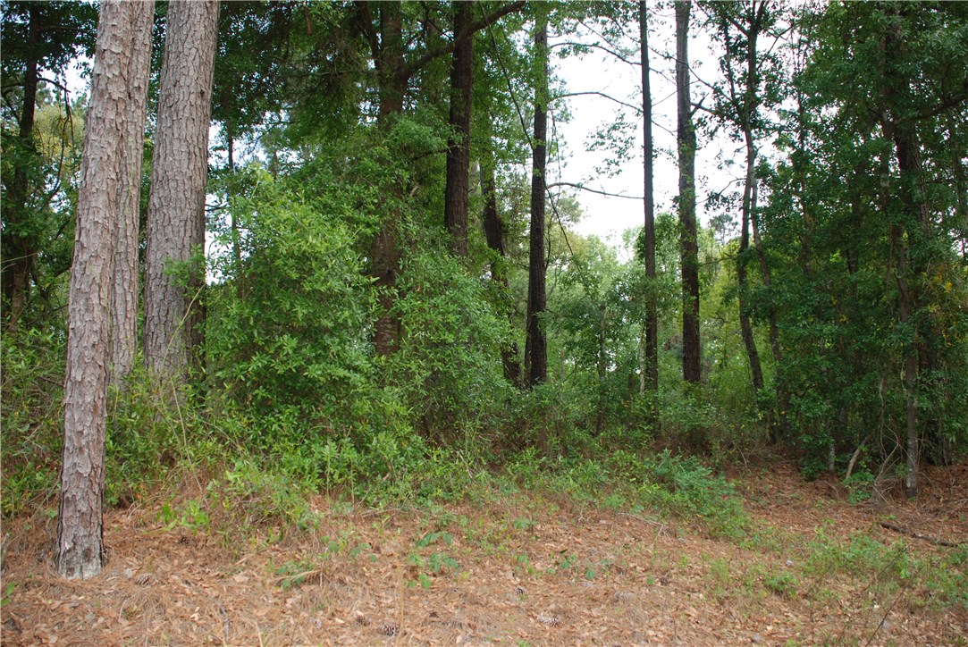 3-acres Lake Hampton Road Hilliard, FL 32046 - Photo 2 of 13 Gallery Image 2