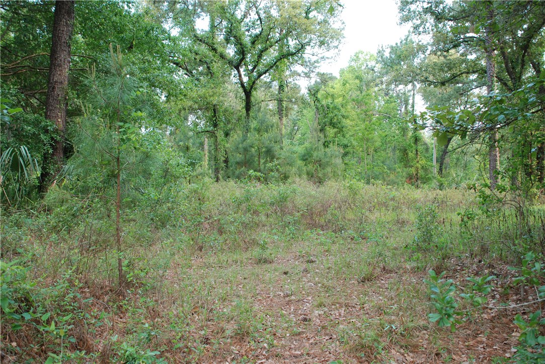 3-acres Lake Hampton Road Hilliard, FL 32046 - Photo 3 of 13 Gallery Image 3