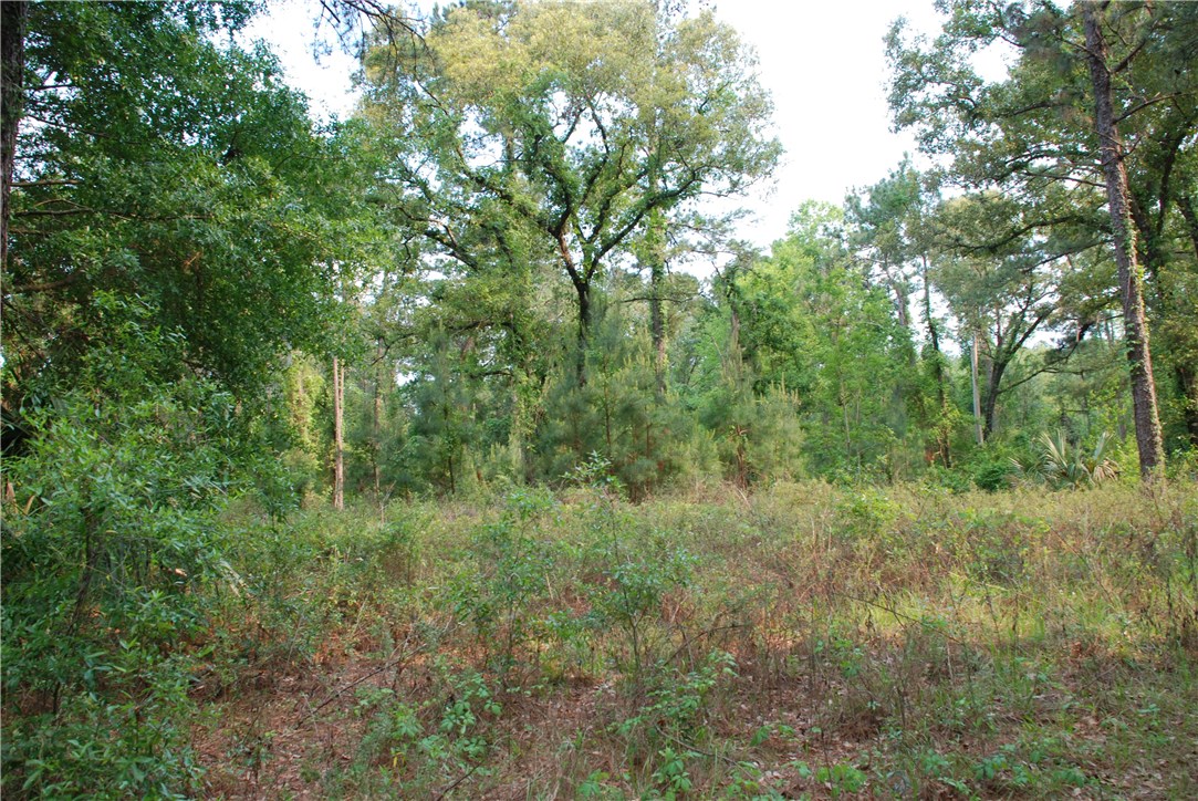 3-acres Lake Hampton Road Hilliard, FL 32046 - Photo 5 of 13 Gallery Image 5