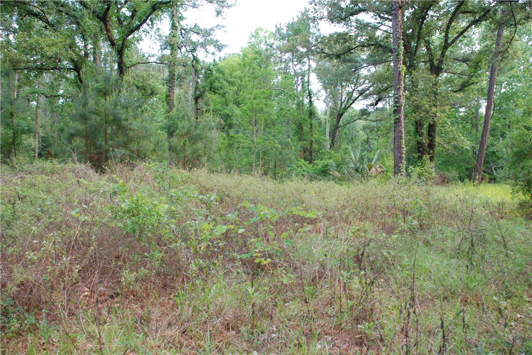 3-acres Lake Hampton Road Hilliard, FL 32046 - Photo 9 of 13 Gallery Image 9