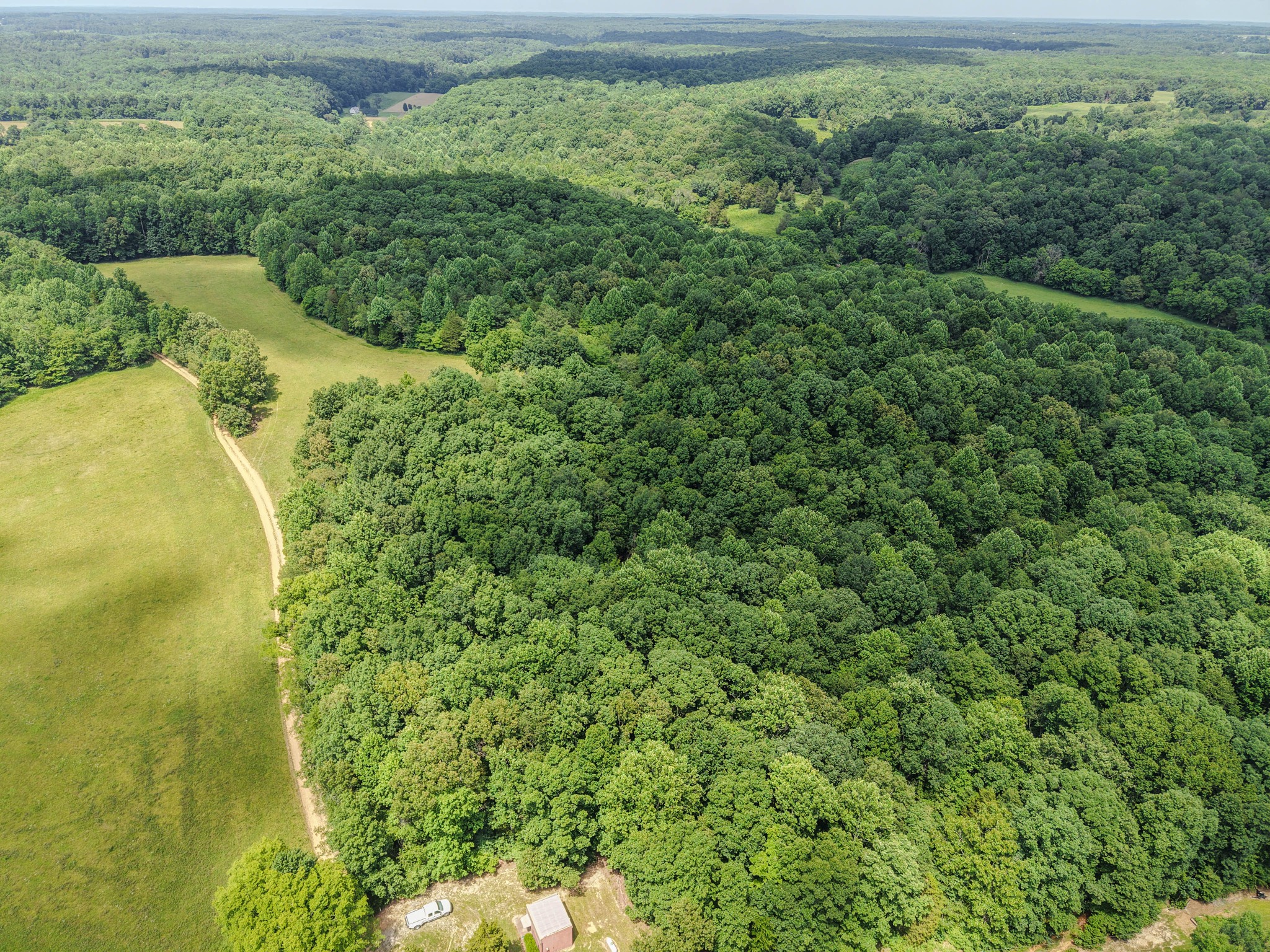 215 Clear Creek Road Leoma, TN 38468 - Photo 2 of 13