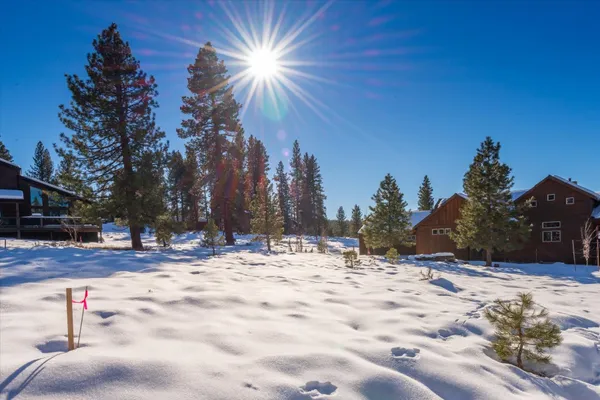 a view of a dry yard covered with snow on the road