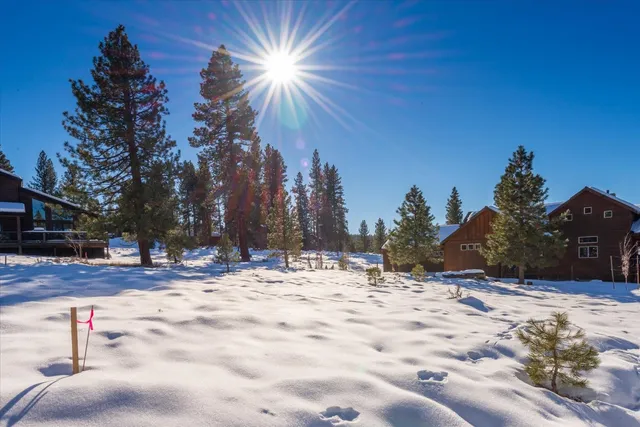a view of a dry yard covered with snow on the road