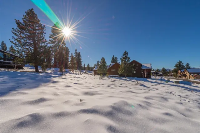 a black and white photo of a book