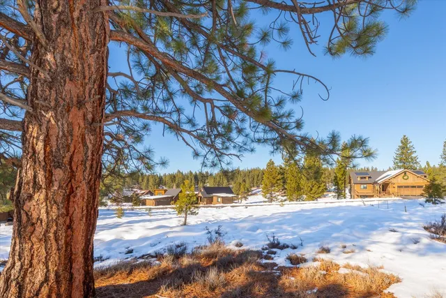 a view of a yard with trees and houses