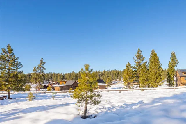 a view of a house with trees in the background