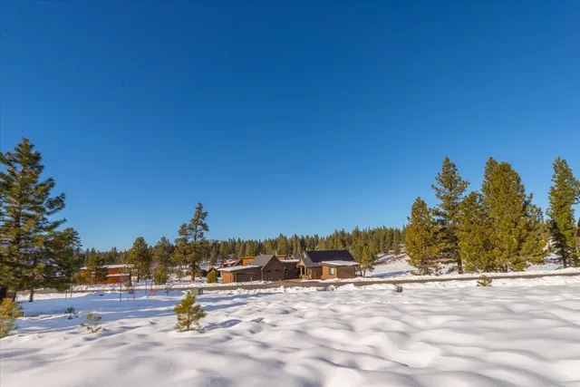 a outdoor space with a tree