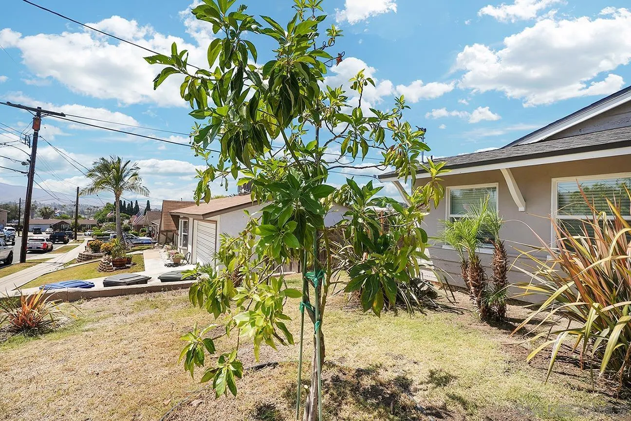 1138 Purdy Street Spring Valley, CA 91977 - Photo 24 of 24