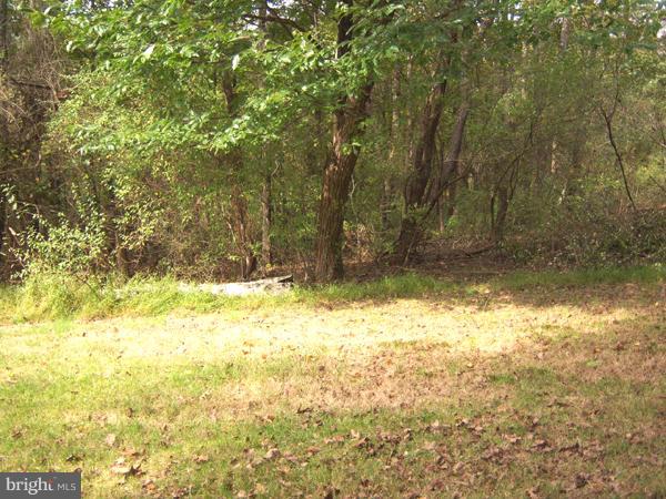 1704 Sticky Kline Road Berkeley Springs, WV 25411 - Photo 12 of 16 Acreage