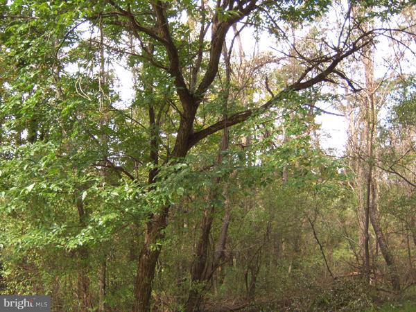 1704 Sticky Kline Road Berkeley Springs, WV 25411 - Photo 13 of 16 View