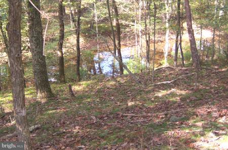 1704 Sticky Kline Road Berkeley Springs, WV 25411 - Photo 14 of 16 Acreage