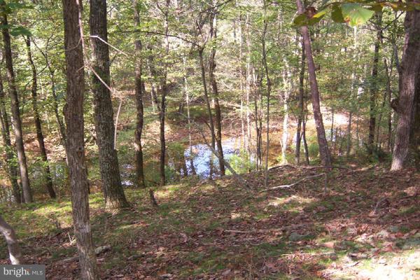 1704 Sticky Kline Road Berkeley Springs, WV 25411 - Photo 15 of 16 Acreage