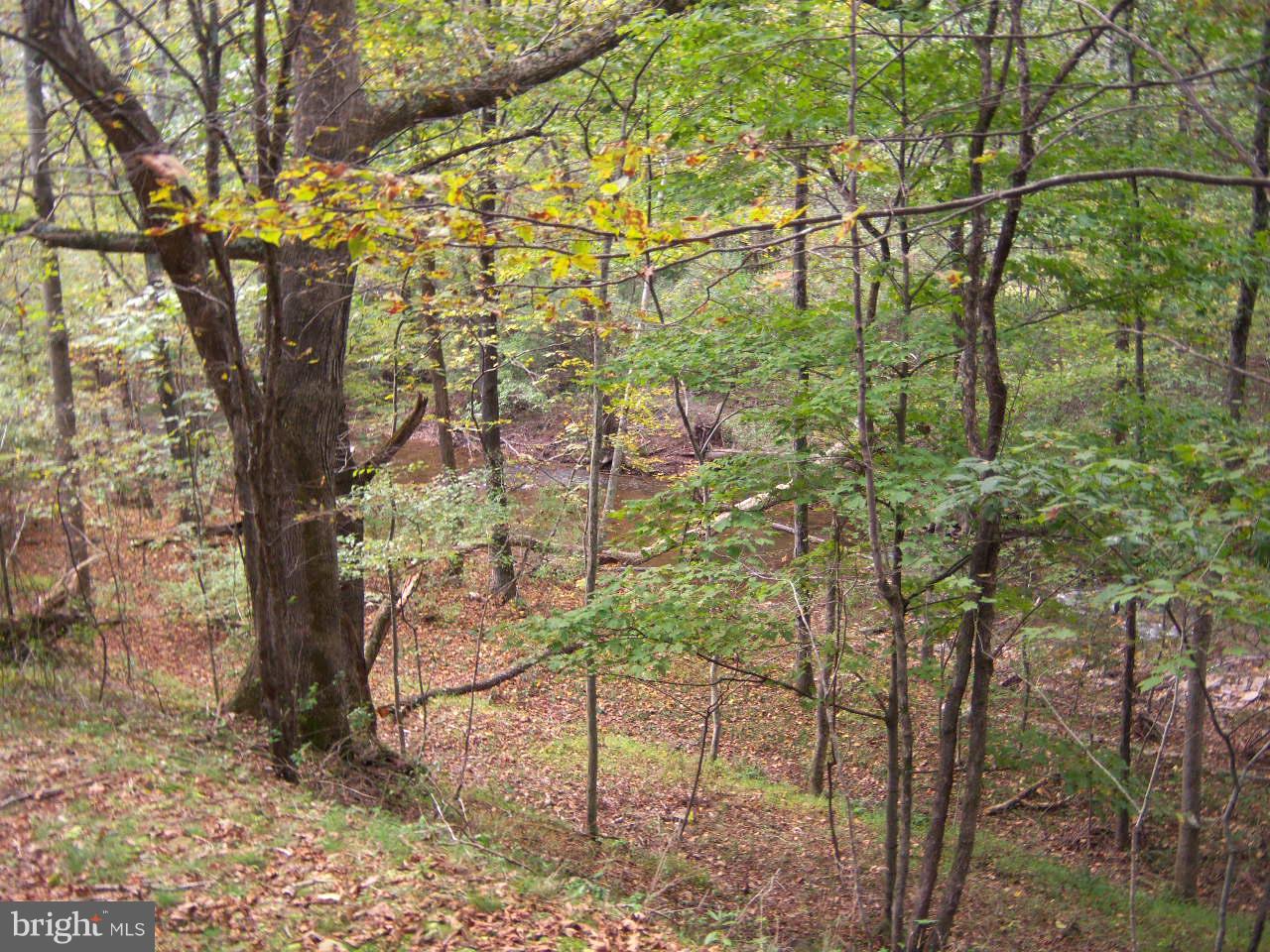 1704 Sticky Kline Road Berkeley Springs, WV 25411 - Photo 16 of 16 Acreage