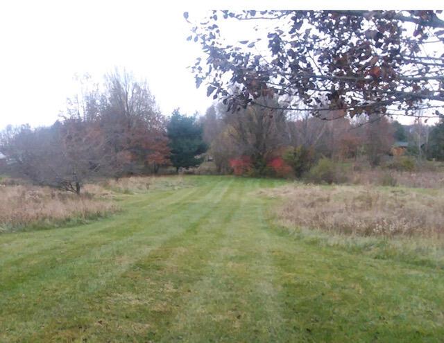 3999 Gilbert Road Centerburg, OH 43011 - Photo 35 of 58 IMG_8702