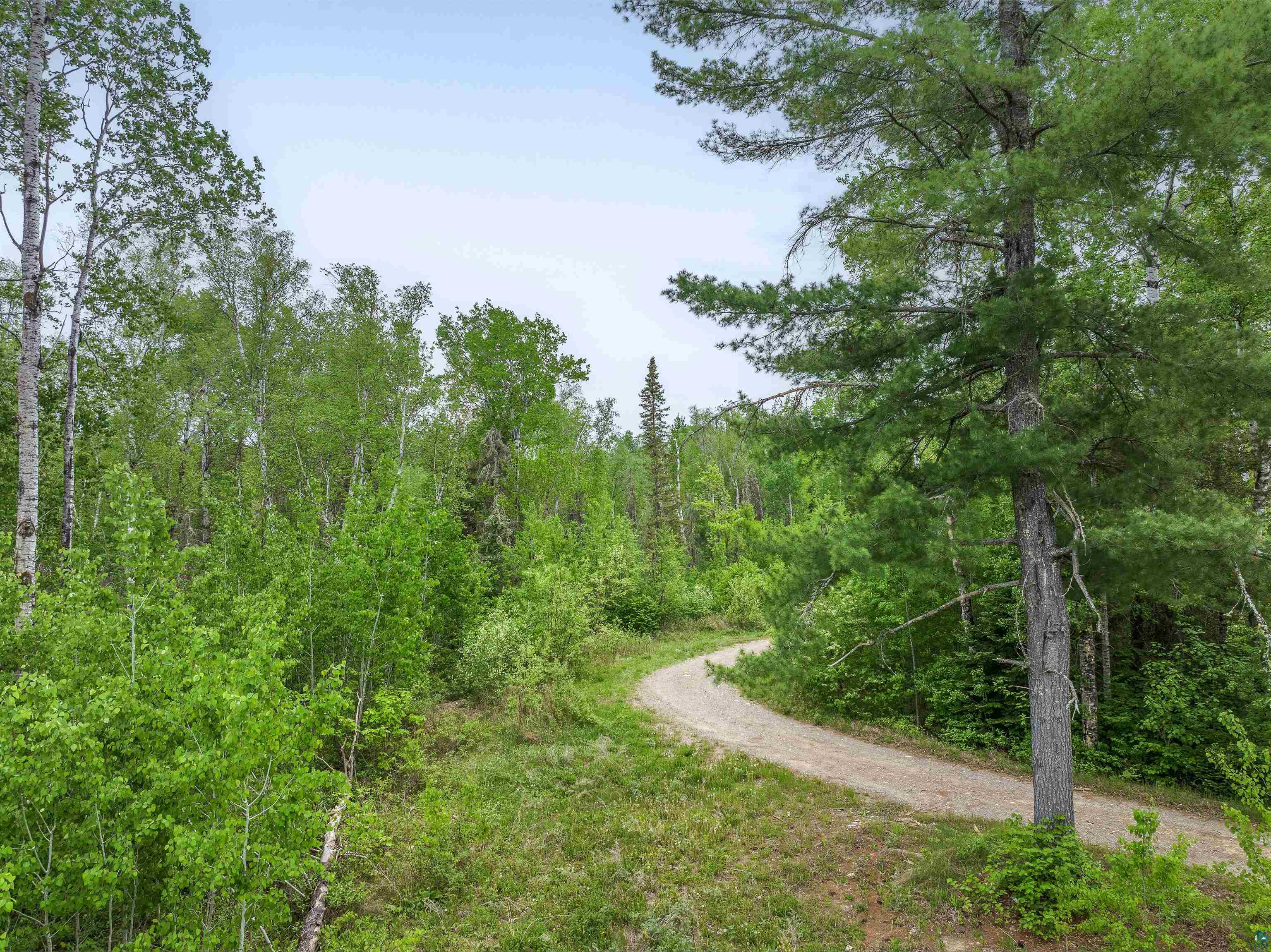 1152 Fernberg Road Ely, MN 55731 - Photo 15 of 24 Winding gravel path through dense mixed forest