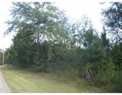 22380 374th Road Kiln, MS 39556 - Photo 3 of 6 Additional Photo