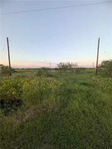 a view of a field with an ocean and trees in the background