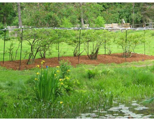101 West Bare Hill Road Harvard, MA 01451 - Photo 14 of 23 Gallery Image 14