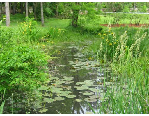 101 West Bare Hill Road Harvard, MA 01451 - Photo 15 of 23 Gallery Image 15