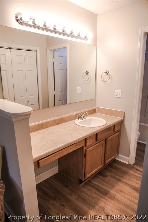 1017 Locks Creek Road Fayetteville, NC 28312 - Photo 19 of 26 a bathroom with a sink a toilet and a mirror