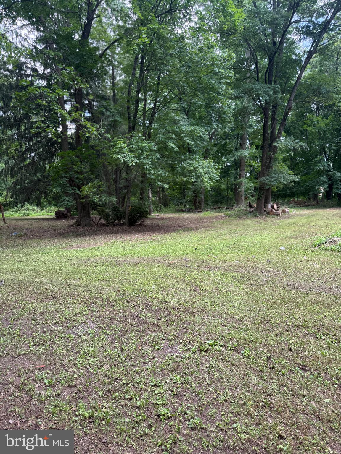 26 Kolb Road Spring City, PA 19475 - Photo 4 of 4 Park-like setting