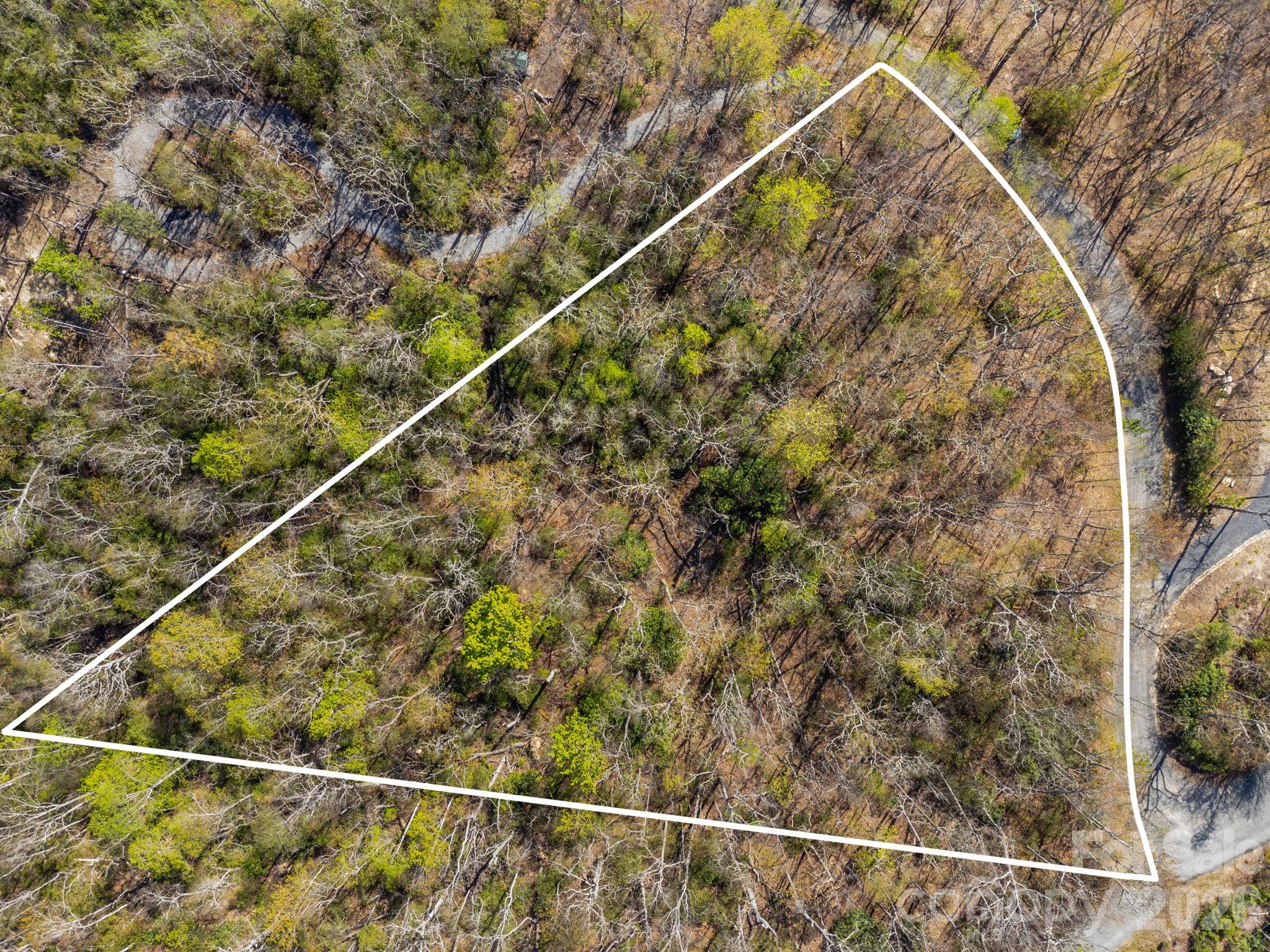 Lot 27 Trails End Road, Unit 27 Spruce Pine, NC 28777 - Photo 12 of 42