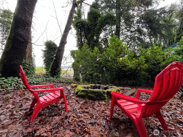 a view of a backyard with trees
