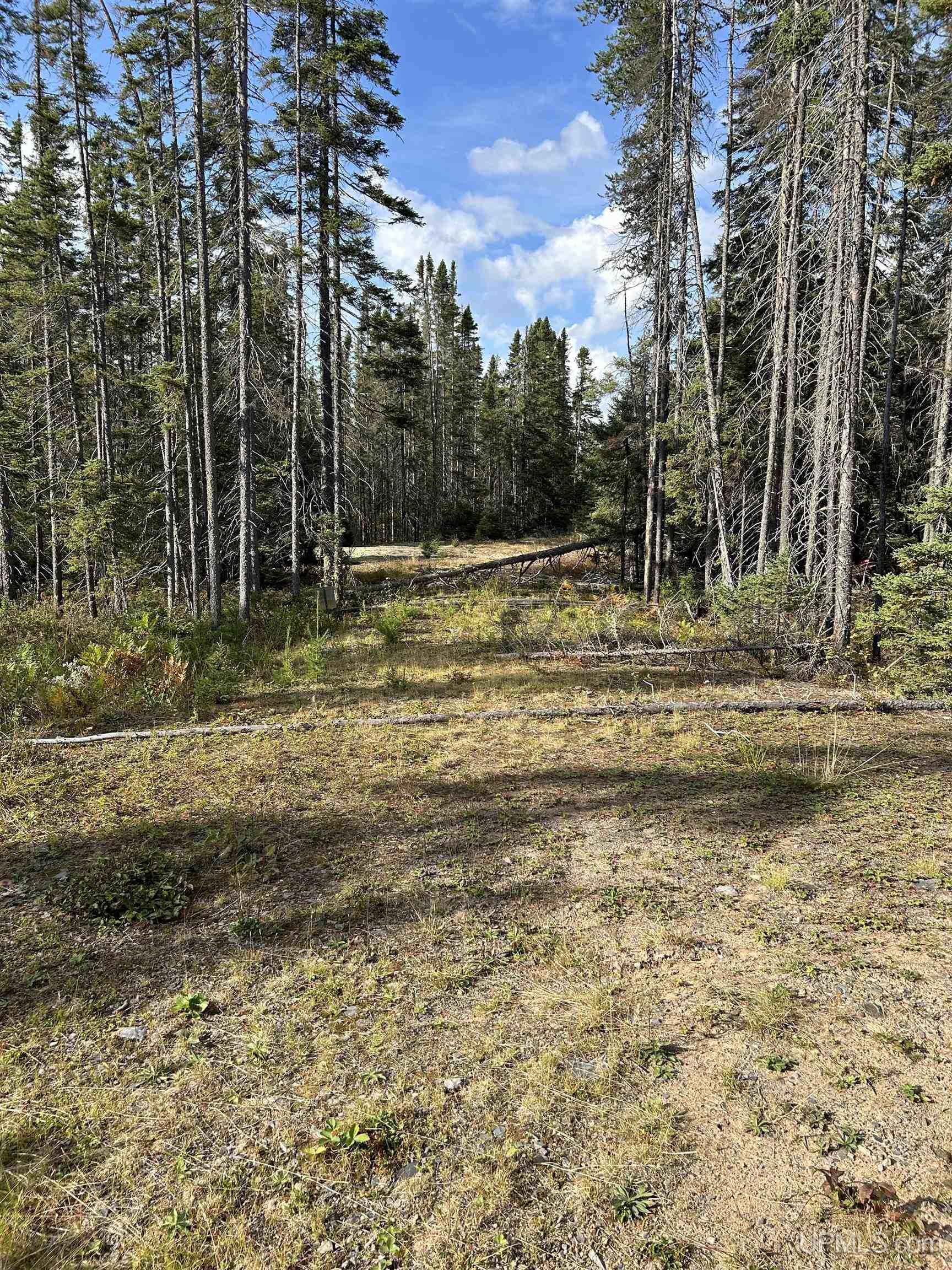573 Rd Ishpeming Mi 49849 Road Ishpeming, MI 49849 - Photo 6 of 15